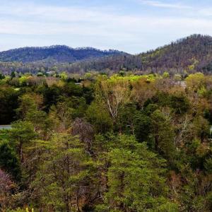 Photo #26 of 717 CEDAR MEADOW DR, NELLYSFORD, VA 0.9 acres