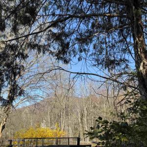 Photo #1 of 717 CEDAR MEADOW DR, NELLYSFORD, VA 0.9 acres