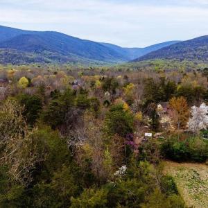 Photo #12 of 717 CEDAR MEADOW DR, NELLYSFORD, VA 0.9 acres