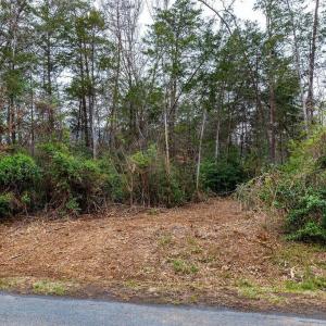 Photo #5 of 717 CEDAR MEADOW DR, NELLYSFORD, VA 0.9 acres