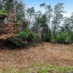 Photo #6 of 717 CEDAR MEADOW DR, NELLYSFORD, VA 0.9 acres