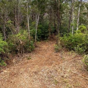 Photo #10 of 717 CEDAR MEADOW DR, NELLYSFORD, VA 0.9 acres