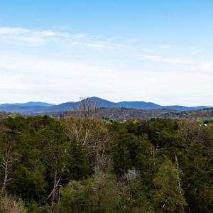 Photo #2 of 717 CEDAR MEADOW DR, NELLYSFORD, VA 0.9 acres