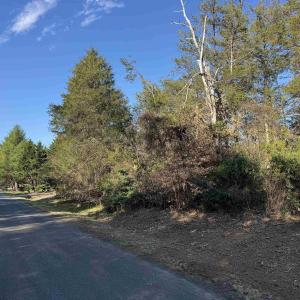 Photo #4 of 717 CEDAR MEADOW DR, NELLYSFORD, VA 0.9 acres