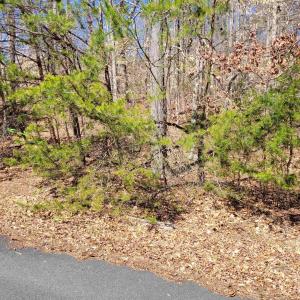 Photo #3 of MERRY OAKS LN, PALMYRA, VA 10.3 acres