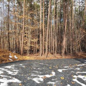 Photo #6 of MERRY OAKS LN, PALMYRA, VA 10.3 acres