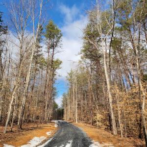 Photo #5 of MERRY OAKS LN, PALMYRA, VA 10.3 acres