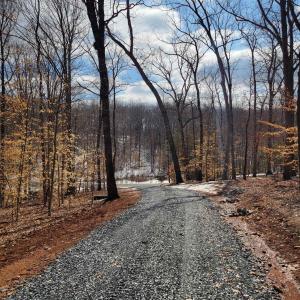 Photo #3 of MERRY OAKS LN, PALMYRA, VA 10.3 acres