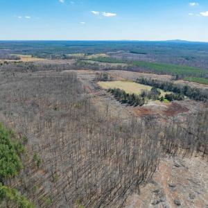 Photo #50 of 159 WARREN FERRY RD, SCOTTSVILLE, VA 136.0 acres