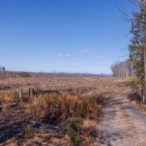 Photo #40 of 159 WARREN FERRY RD, SCOTTSVILLE, VA 136.0 acres