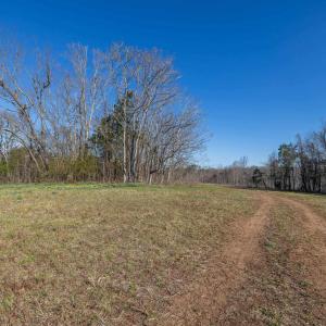 Photo #28 of 159 WARREN FERRY RD, SCOTTSVILLE, VA 136.0 acres