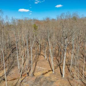 Photo #53 of 159 WARREN FERRY RD, SCOTTSVILLE, VA 136.0 acres