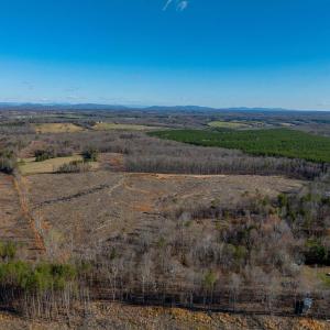 Photo #38 of 159 WARREN FERRY RD, SCOTTSVILLE, VA 136.0 acres