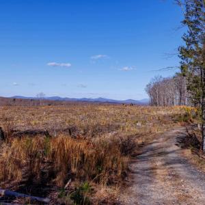 Photo #34 of 159 WARREN FERRY RD, SCOTTSVILLE, VA 136.0 acres
