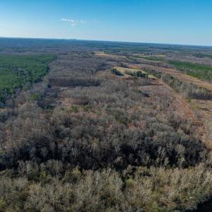 Photo #31 of 159 WARREN FERRY RD, SCOTTSVILLE, VA 136.0 acres
