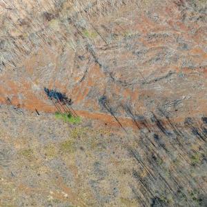 Photo #69 of 159 WARREN FERRY RD, SCOTTSVILLE, VA 136.0 acres