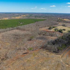Photo #65 of 159 WARREN FERRY RD, SCOTTSVILLE, VA 136.0 acres
