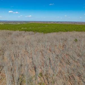 Photo #60 of 159 WARREN FERRY RD, SCOTTSVILLE, VA 136.0 acres