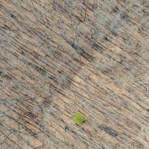 Photo #47 of 159 WARREN FERRY RD, SCOTTSVILLE, VA 136.0 acres