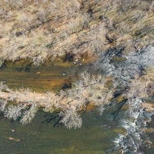 Photo #5 of 159 WARREN FERRY RD, SCOTTSVILLE, VA 136.0 acres