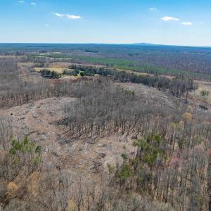 Photo #49 of 159 WARREN FERRY RD, SCOTTSVILLE, VA 136.0 acres