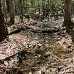 Photo #42 of 159 WARREN FERRY RD, SCOTTSVILLE, VA 136.0 acres