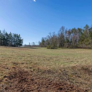 Photo #27 of 159 WARREN FERRY RD, SCOTTSVILLE, VA 136.0 acres