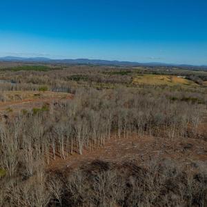 Photo #33 of 159 WARREN FERRY RD, SCOTTSVILLE, VA 136.0 acres