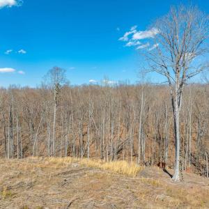 Photo #63 of 159 WARREN FERRY RD, SCOTTSVILLE, VA 136.0 acres