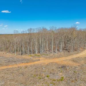 Photo #51 of 159 WARREN FERRY RD, SCOTTSVILLE, VA 136.0 acres