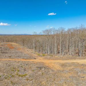 Photo #52 of 159 WARREN FERRY RD, SCOTTSVILLE, VA 136.0 acres