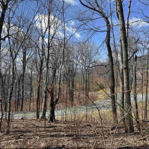 Photo #7 of TBD FAR KNOB CLIMB, NELLYSFORD, VA 1.9 acres