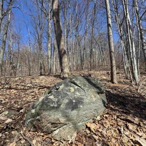 Photo #10 of TBD FAR KNOB CLIMB, NELLYSFORD, VA 1.9 acres