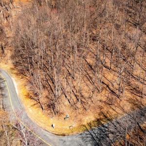 Photo #17 of TBD FAR KNOB CLIMB, NELLYSFORD, VA 1.9 acres