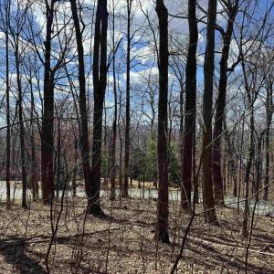 Photo #6 of TBD FAR KNOB CLIMB, NELLYSFORD, VA 1.9 acres