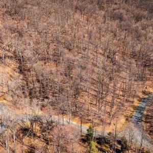 Photo #15 of TBD FAR KNOB CLIMB, NELLYSFORD, VA 1.9 acres
