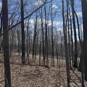 Photo #8 of TBD FAR KNOB CLIMB, NELLYSFORD, VA 1.9 acres
