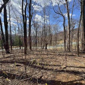 Photo #5 of TBD FAR KNOB CLIMB, NELLYSFORD, VA 1.9 acres