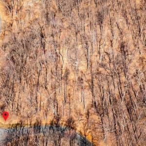 Photo #14 of TBD FAR KNOB CLIMB, NELLYSFORD, VA 1.9 acres