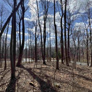 Photo #9 of TBD FAR KNOB CLIMB, NELLYSFORD, VA 1.9 acres