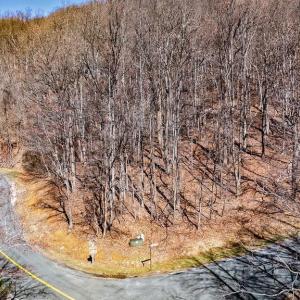 Photo #20 of TBD FAR KNOB CLIMB, NELLYSFORD, VA 1.9 acres
