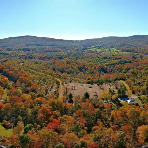 Photo #11 of TBD OLD BARBOURSVILLE RD, GORDONSVILLE, VA 135.8 acres