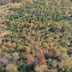 Photo #7 of TBD OLD BARBOURSVILLE RD, GORDONSVILLE, VA 135.8 acres