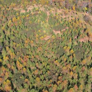 Photo #4 of TBD OLD BARBOURSVILLE RD, GORDONSVILLE, VA 135.8 acres