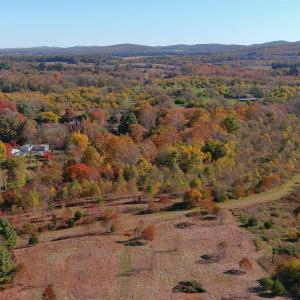 Photo #8 of TBD OLD BARBOURSVILLE RD, GORDONSVILLE, VA 135.8 acres