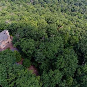 Photo #3 of 37 COOPERS VANTAGE, WINTERGREEN RESORT, VA 0.7 acres