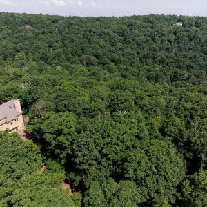 Photo #1 of 37 COOPERS VANTAGE, WINTERGREEN RESORT, VA 0.7 acres