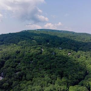 Photo #7 of 37 COOPERS VANTAGE, WINTERGREEN RESORT, VA 0.7 acres