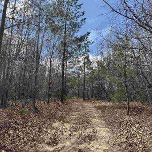 Photo #7 of 438 MOUNTAIN TOP DR, NEW CANTON, VA 227.8 acres