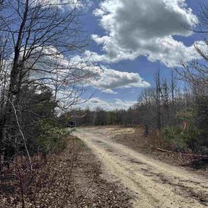 Photo #9 of 438 MOUNTAIN TOP DR, NEW CANTON, VA 227.8 acres